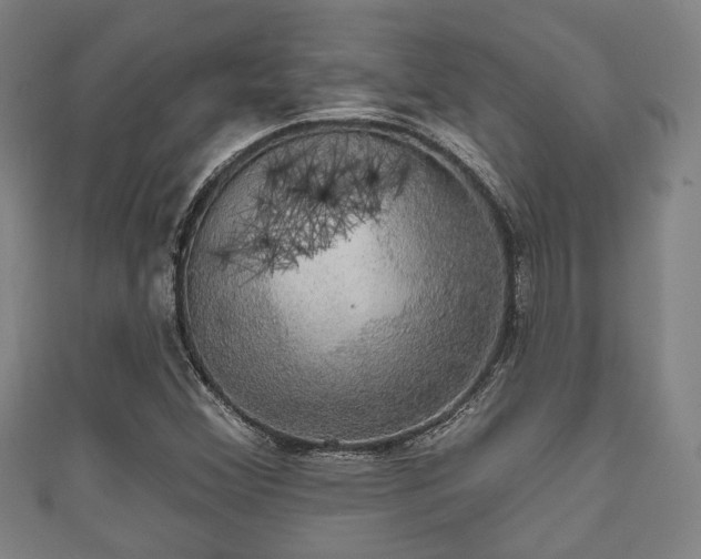 X0000111591356200907231206