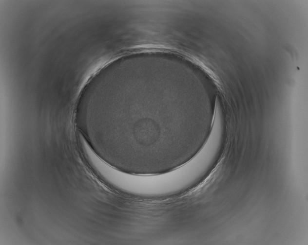 X0000111591357200907231206