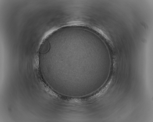 X0000111591358200907231206