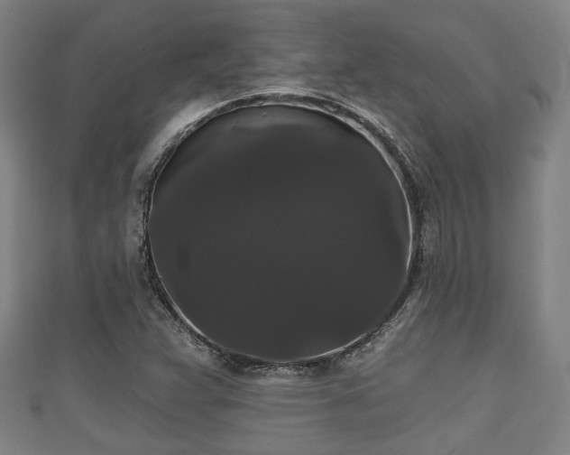 X0000111591359200907231206