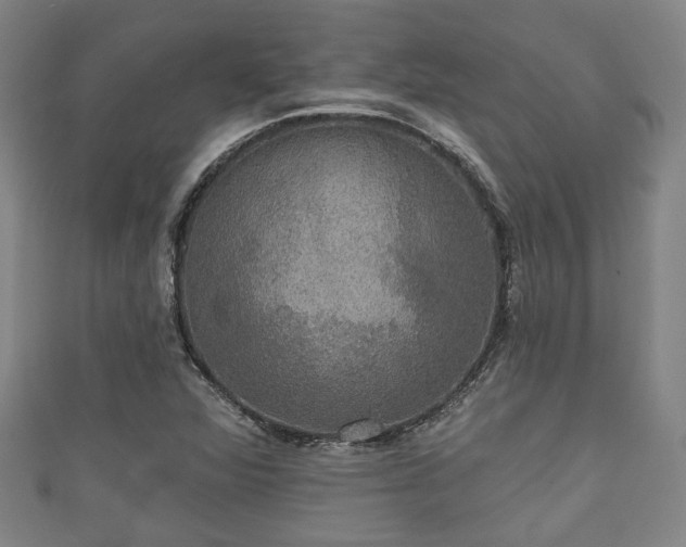 X0000111591360200907231206