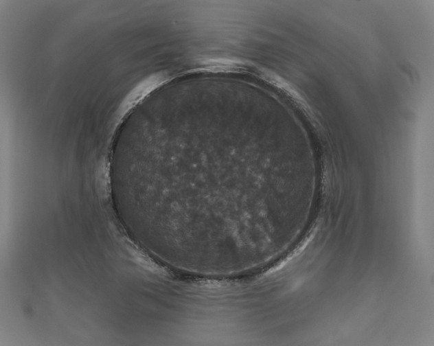 X0000111591362200907231206