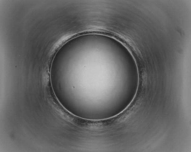 X0000111591363200907231206