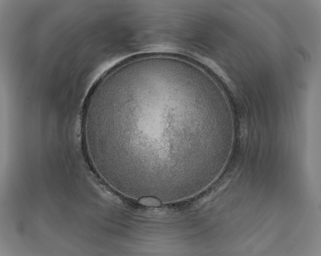 X0000111591364200907231206