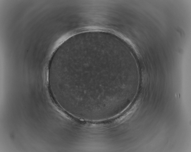 X0000111591365200907231206