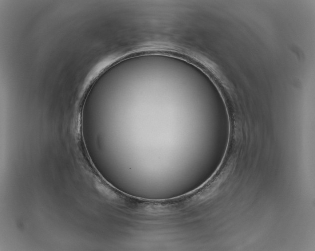 X0000111591366200907231206