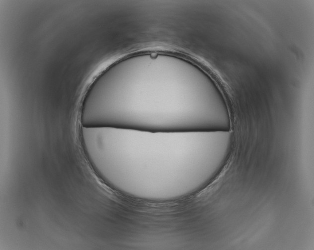 X0000111591367200907231206