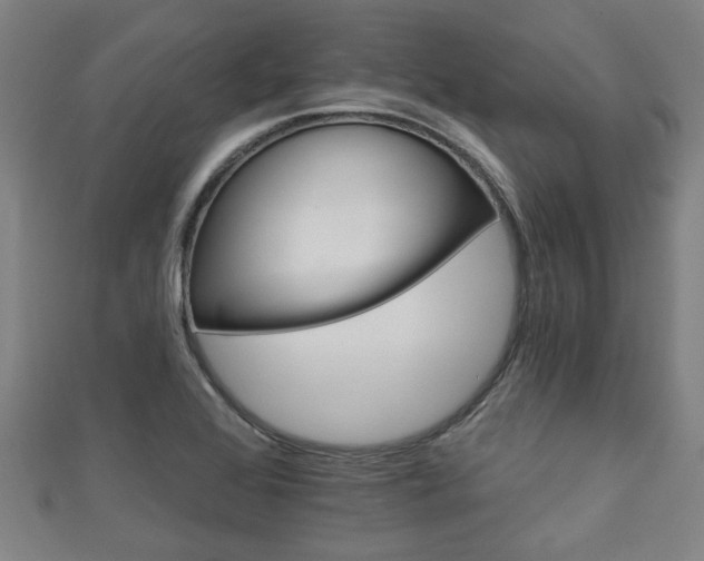 X0000111591368200907231206