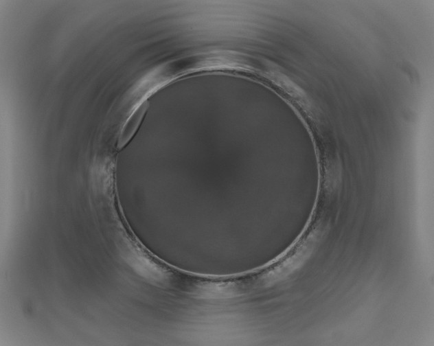 X0000111591369200907231206