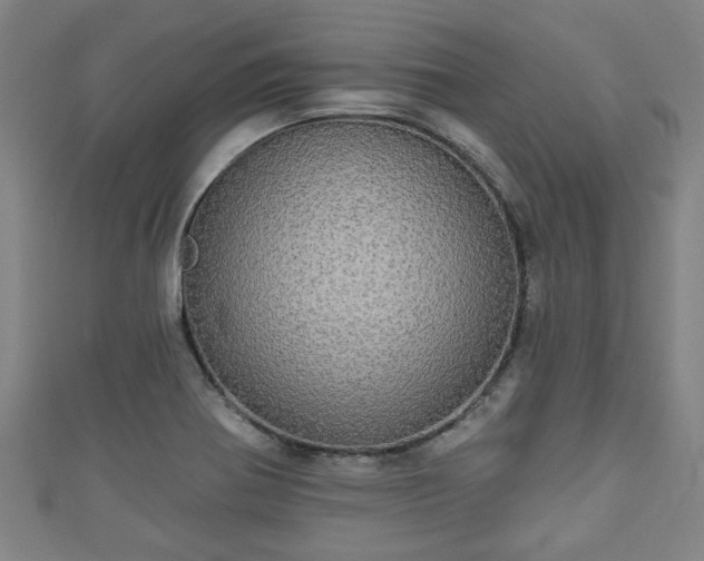 X0000111591370200907231206