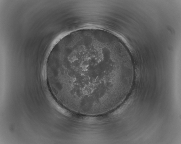 X0000111591371200907231206