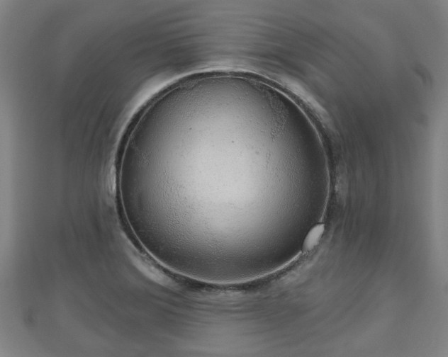 X0000111591372200907231206