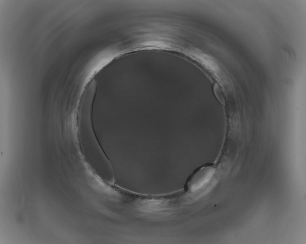 X0000111591373200907231206