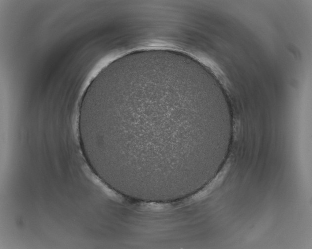 X0000111591374200907231206