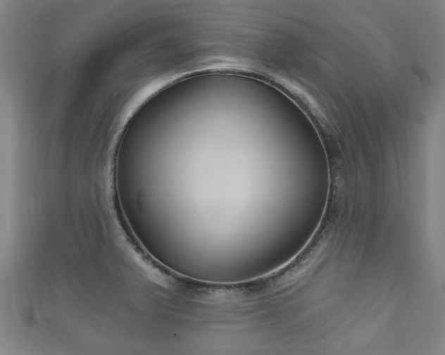 X0000111591375200907231206