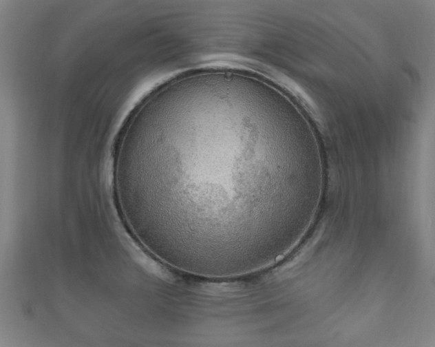 X0000111591376200907231206