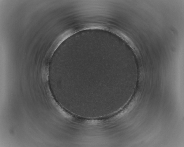 X0000111591377200907231206