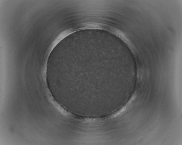 X0000111591378200907231206