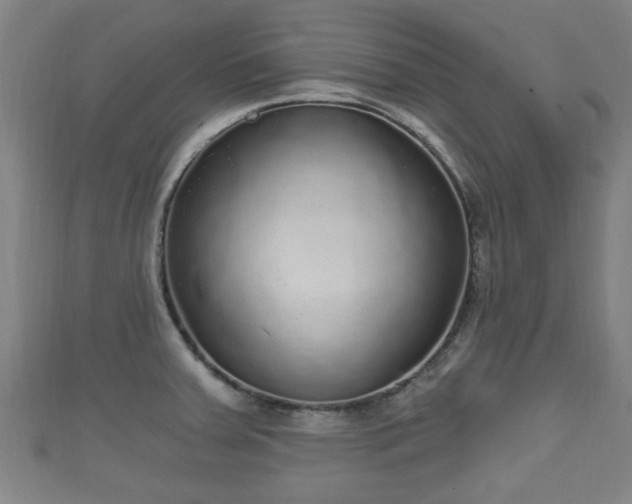 X0000111591379200907231206