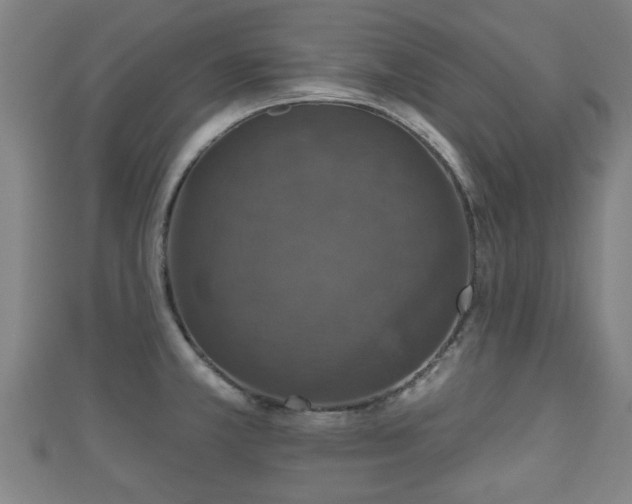 X0000111591381200907231206