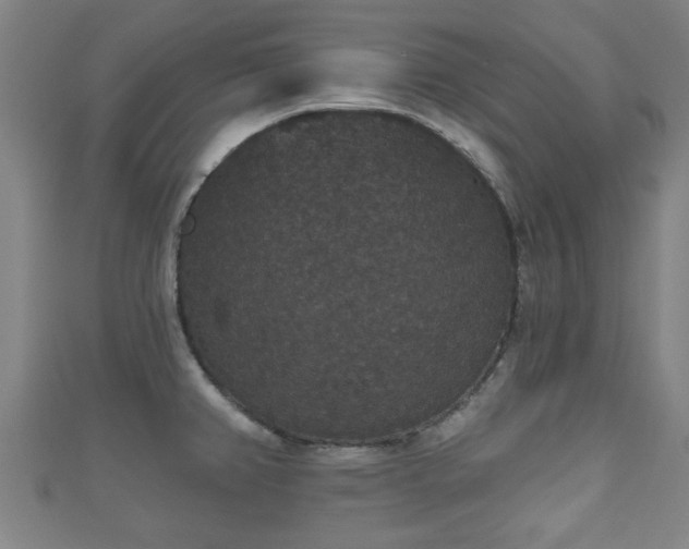 X0000111591382200907231205