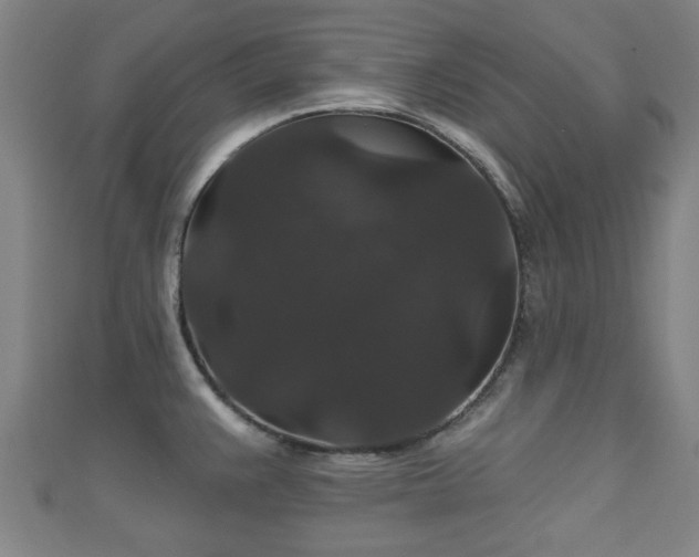 X0000111591383200907231205