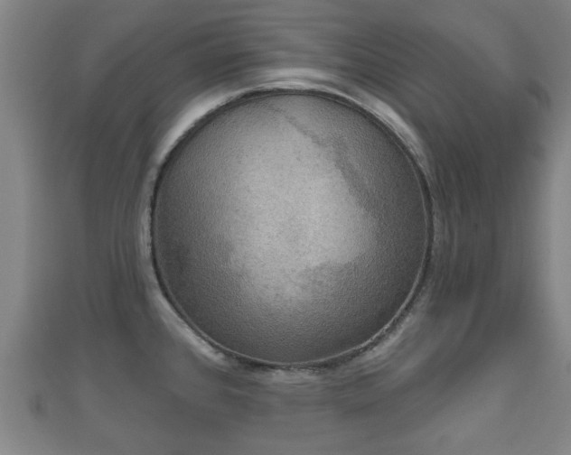 X0000111591384200907231205