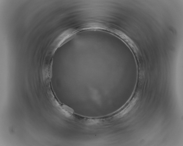 X0000111591385200907231205