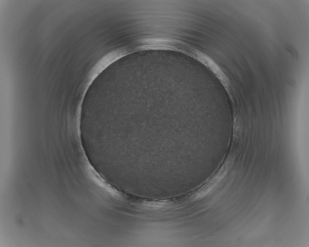 X0000111591386200907231205