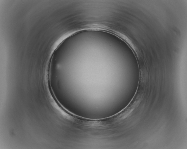 X0000111591387200907231205