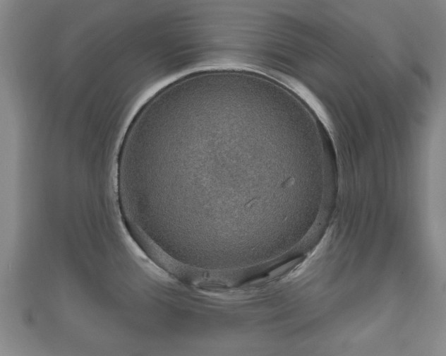 X0000111591388200907231205