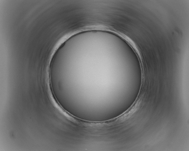 X0000111591389200907231205