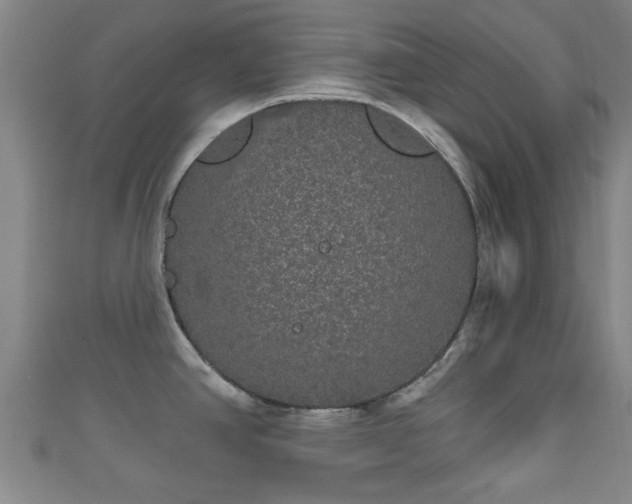 X0000111591390200907231205