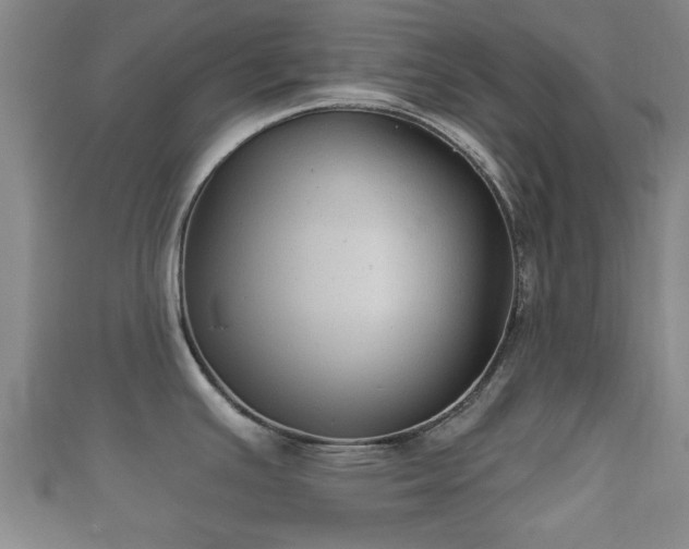 X0000111591391200907231205