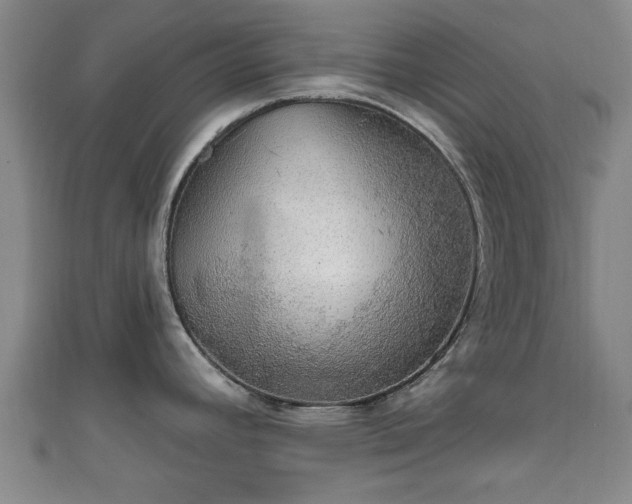 X0000111591392200907231205