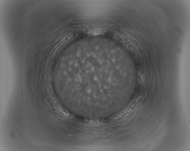 X0000111591393200907231205