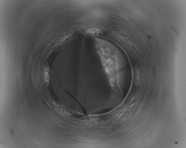 X0000111591394200907231205