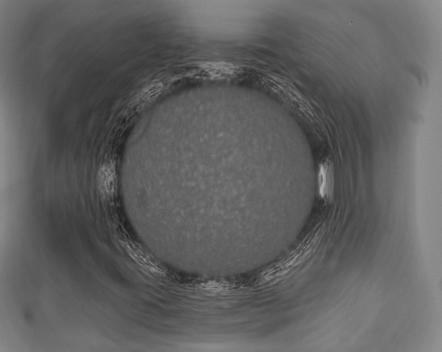 X0000111591395200907231205