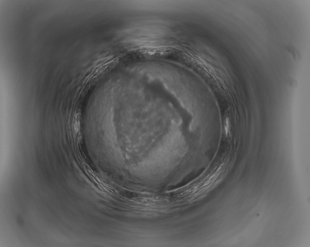 X0000111591396200907231205