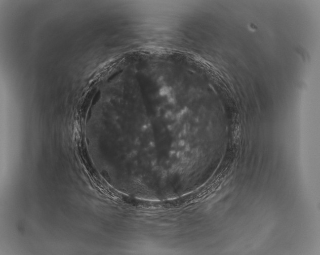 X0000111591397200907231205