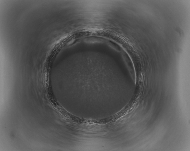 X0000111591398200907231205