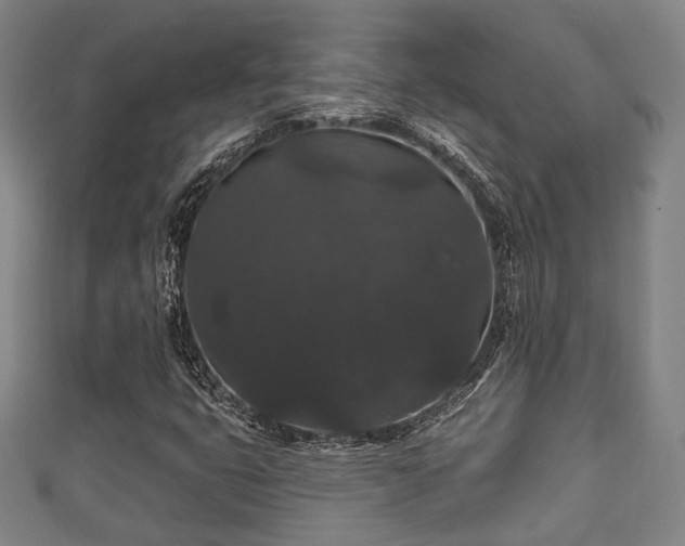 X0000111591399200907231205