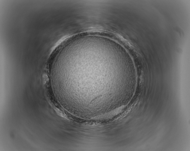 X0000111591400200907231205