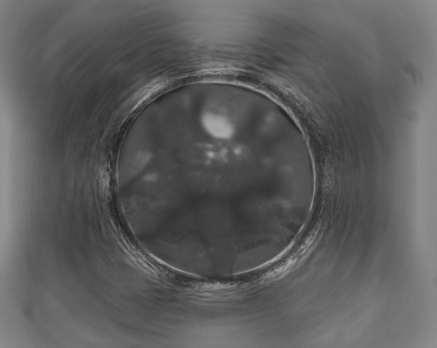 X0000111591401200907231205