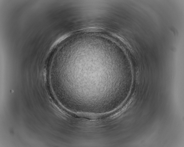 X0000111591402200907231205