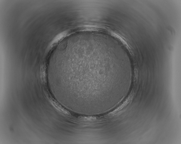 X0000111591403200907231205