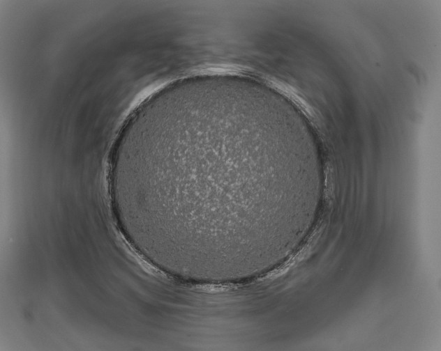 X0000111591404200907231205