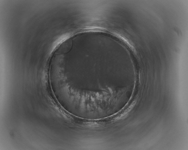 X0000111591405200907231205