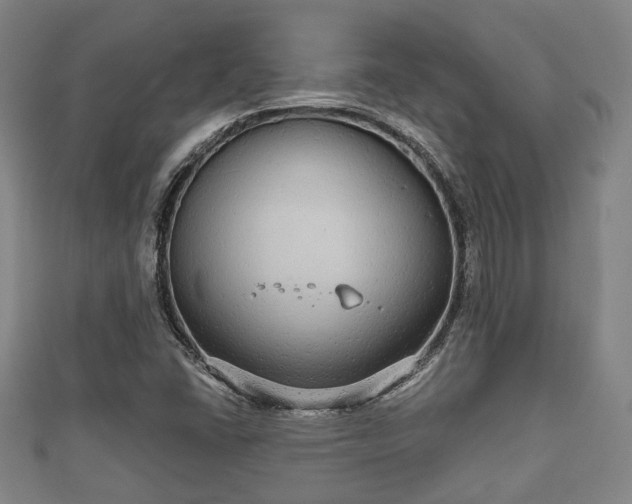 X0000111591406200907231205