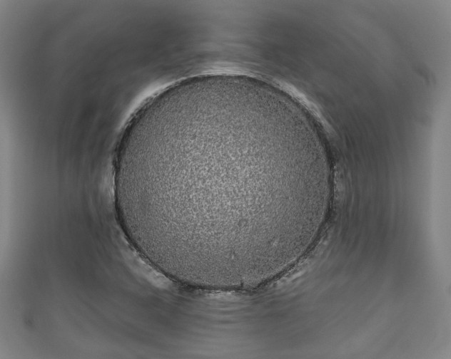 X0000111591408200907231205